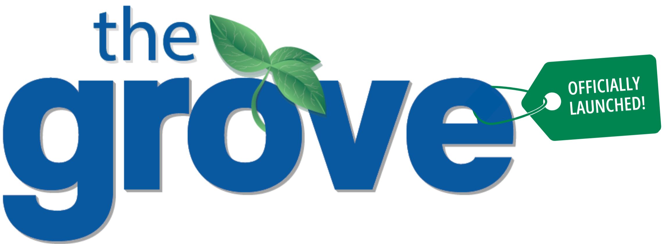 The Grove: Officially Launched!